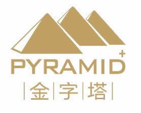 深圳市金字塔健康咨詢 專業健康管理技術咨詢服務